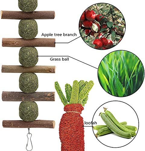 GIONAR Juguetes para Masticar Conejos,Pequeños Animales Juguetes para Masticar, Juguetes Masticables de Madera, Natural Molar Juguetes para para Hámster, Conejos, Cobayas,Jerbos de Cobayas