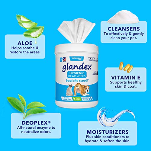 glandex® Vetnique Labs - Toallitas de limpieza desodorizantes higiénicas para la glándula anal - Caja de 6 bolsas)