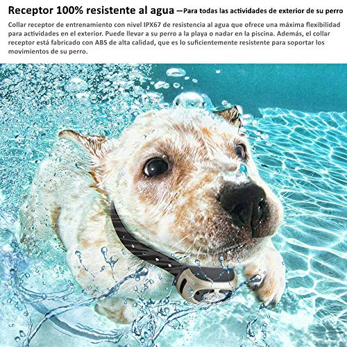 GLEADING Collar de Adiestramiento para Dos Perros Recargable con Mando a Distancia de Rango de 500 Metros, Pitido de Alerta y Modo de Vibración - Resistencia al Agua de IP67