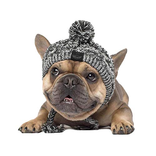 Gorro de invierno para perro caliente de Navidad, con diseño de perro de moda, con bola de pompón blanco, accesorio de disfraz para perros medianos y grandes, Bulldog francés