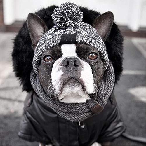 Gorro de invierno para perro caliente de Navidad, con diseño de perro de moda, con bola de pompón blanco, accesorio de disfraz para perros medianos y grandes, Bulldog francés