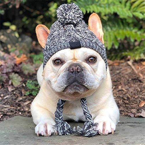 Gorro de invierno para perro caliente de Navidad, con diseño de perro de moda, con bola de pompón blanco, accesorio de disfraz para perros medianos y grandes, Bulldog francés