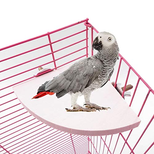 GOTOTOP 2 Piezas de Juguete para Percha de pájaro, Forma de Abanico de Madera, Soporte para Percha de Loro, Jaula de pájaros, Accesorios para Mascotas, Loros, periquitos, cacatúas, Conure, agapornis