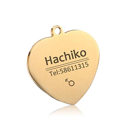 Grabado personalizado mascota perro gato etiqueta de identificación accesorios de collar para mascotas gato y perro placa de identificación de acero inoxidable colgante placa de identificación an