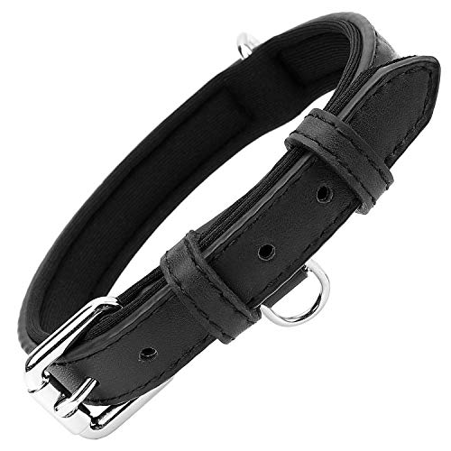 Grand Line Collar de Perro de Cuero Duradero Acolchado Suave con Perforador de Agujeros, Negro(XS)