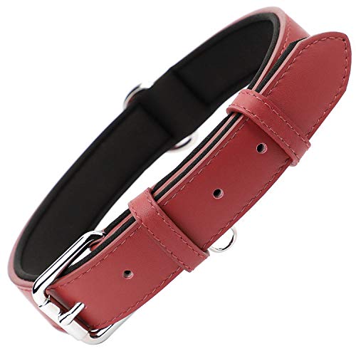 Grand Line Collar de Perro de Cuero Duradero Acolchado Suave con Perforador de Agujeros, Rojo(L)