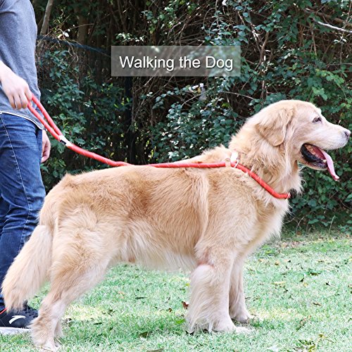 Grand Line Correa de Perro Nylon Cuerda de Entrenamiento Ajustable Reflectantes para Perros Pequeños, Medianos, Grandes y Extra - 1.4cm de Diámetro x 150cm de Largo(Roja)