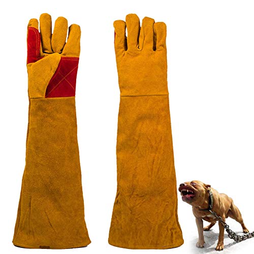 Guantes para Perros, Guantes Anti-mordidas/arañazos Guanteletes de Cuero para jardinería Guantelete de Cuero para Perro Gato Serpiente Loro Lagarto Animales Salvajes