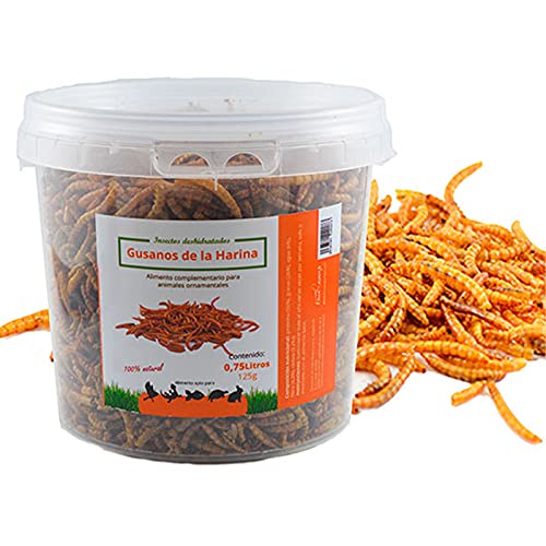 Gusanos de la harina deshidratados| Tenebrios deshidratados para reptiles, aves y pequeños mamíferos| Fuente natural de proteínas | Disponibles en 3 formatos: 125 g, 200 g y 700 g. (ref. XGH) (700)