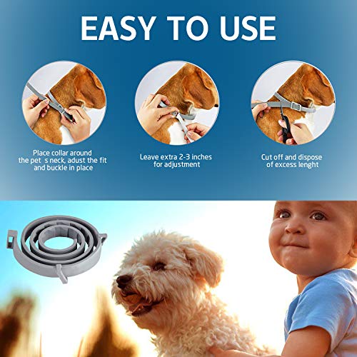 GVOO Collares Antipulgas y Garrapatas,Collar Antiparasitos Perros Gatos,Collar Anti Mosquitos Tamaño Ajustable para Cualquiera Mascota 240 Días de Protección Longitud 62cm