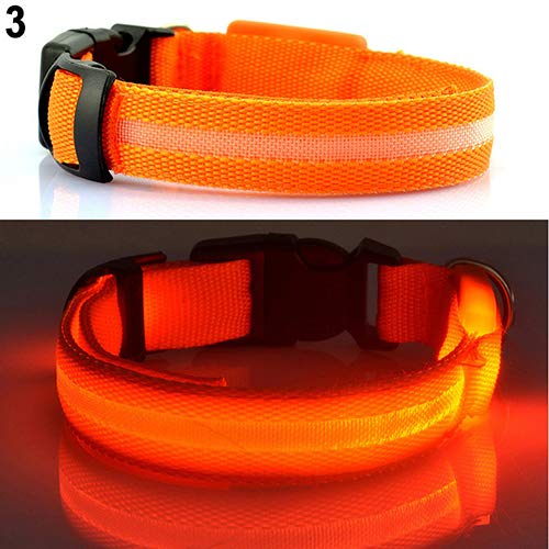 H87yC4ra Collar De Perro LED Luminoso, Luz Intermitente, Collar Ajustable Para Mascotas, Collar De Seguridad Nocturna Para Cachorro, Perro, Gato, Mejora La Visibilidad Y La Seguridad Naranja S