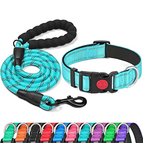 haapaw Collar de perro reflectante acolchado con neopreno suave transpirable ajustable collares de perro de nylon para perros pequeños y medianos grandes