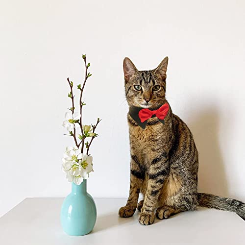 HACRAHO Collar formal con pajarita para mascotas, 1 pieza, negro, ajustable, para cachorros, con lazos, para disfraz, collar formal para perro con lazo rojo para perros pequeños, gatos, L