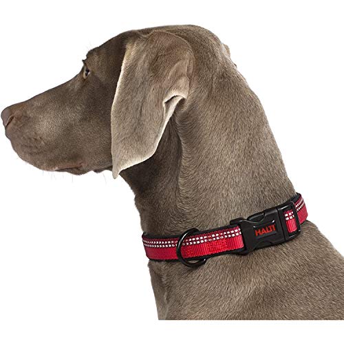 Halti - Collar para perros (35-50cm/Negro)