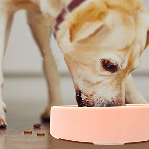 hanbby Comedero Antivoracidad Gato Comedero Perro Antivoracidad Tazón de Comida para Perros Gran Perro Perro alimentadores Green