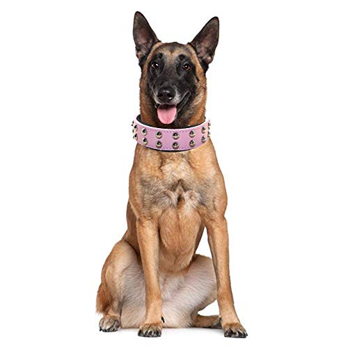 haoyueer Collar de perro de cuero de 1.2 pulgadas de ancho con tachuelas para razas medianas grandes Pitbull Terrier (S, negro)