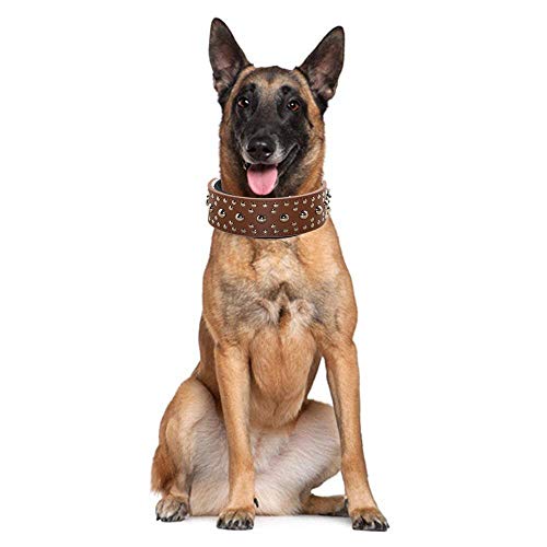 haoyueer Collar de perro unisex de piel con tachuelas para Pitbull Doberman, tallas M L (M, rojo)