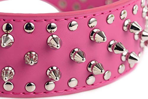 haoyueer Collar de piel sintética con tachuelas para perros medianos y grandes Pit Bull Mastín Bully Boxer (S, marrón dorado)