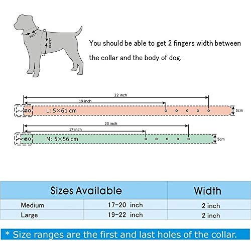 haoyueer Juego de collar de cadena de cuero con tachuelas de 5 cm de ancho para mascotas para Pitbull Husky Mastín Terrier (L, negro)