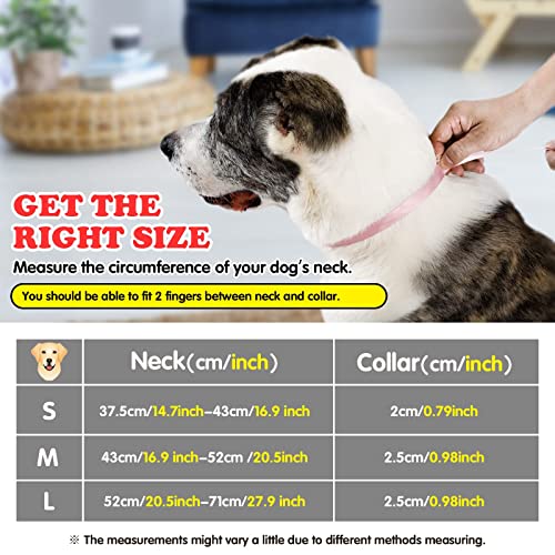 HAPPY HACHI Collar Perro Personalizado, Ajustable Collar Nylon Reflectante Reflexivo Cuello para Perro Grande Medanio Entrenamiento(Negro, S)