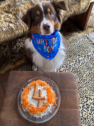 HAPPY HACHI Cumpleaños Bandana Perro Pañuelo Perrito Suave Adorable Bufandas Perro Hembra Macho Pequeño Grande Decoración Fiesta Regalo De Cumpleaños