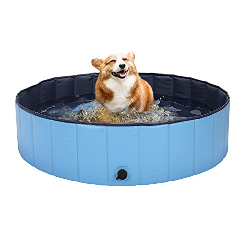 HAPPY HACHI Piscina para Perros Medianos Plegable Bañera Gato Rigida 100x30 cm