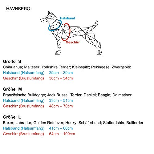 HAVNBERG Arnés de perro para perros pequeños, medianos y grandes, arnés en el pecho, negro, rojo, turquesa, blanco, diseño Navajo, tallas S, M, L (Navjao, L)