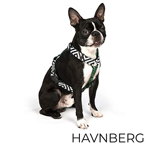 HAVNBERG arnés del Perro Talla L, Pecho: 64 cm – 100 cm, para el Pecho, Vajilla para Perros Grandes, Ancho 2,5 cm