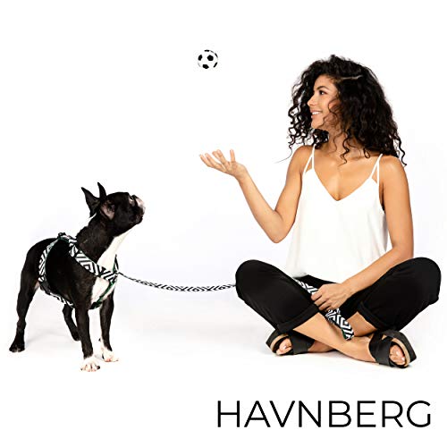 HAVNBERG arnés del Perro Talla L, Pecho: 64 cm – 100 cm, para el Pecho, Vajilla para Perros Grandes, Ancho 2,5 cm