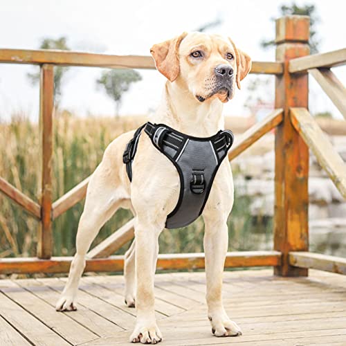 HEELE Arnés para Perro Arnes para Perros Antitirones Chaleco Reflectante Ajustable Arnés para Perro con Múltiples Utilidades Arnés Suave Acolchado para Perros Arnés Perro Grande, Gris, L