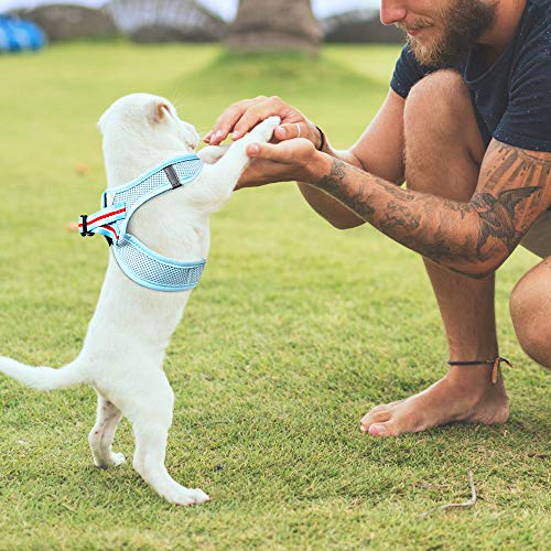 HEELE Arnés para Perro Pequeño Arnes Antitirones Perro Lineas Reflectores Mejor Seguridad en Noche, Azul, S