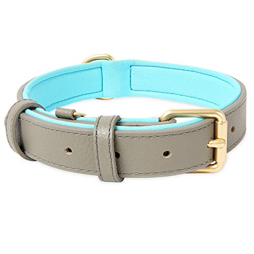 HEELE Collar Perro, Collar de Perro Acolchado de Cuero, Tacto Suave de Piel Auténtica, Ajustable, Perros Pequeños, Medianos, Gris, S