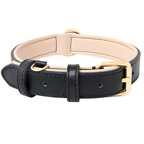 HEELE Collar Perro, Collar de Perro Cómodo y Duradero, Ajustable y con Acolchado Suave, Collar de Cuero Perros de Raza Pequeña, Gatos, Negro, XS