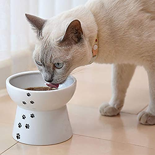 HELEN CURTAIN Criado Cerámica Cat Food Bowl, Gato Elevada Cuencos para Su Comida, La Columna Vertebral del Gato Protect, Elevada Cuenco para Gatos Y Perros Pequeños,Blanco