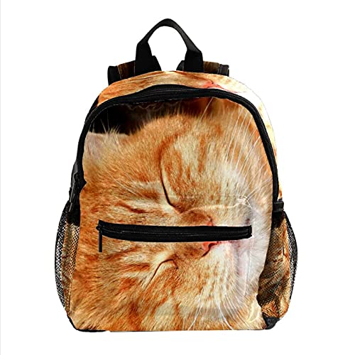 HEOH Mochila informal ligera gato animal mascota