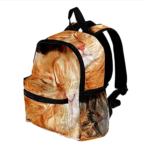 HEOH Mochila informal ligera gato animal mascota