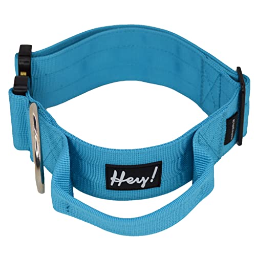 Hey Pets Collar para perros grandes M 30 – 45 cm de longitud ajustable, 3 cm de ancho. Tu collar con mango de nailon de alta resistencia y cierre macizo (banda de entrenamiento) en color azul.