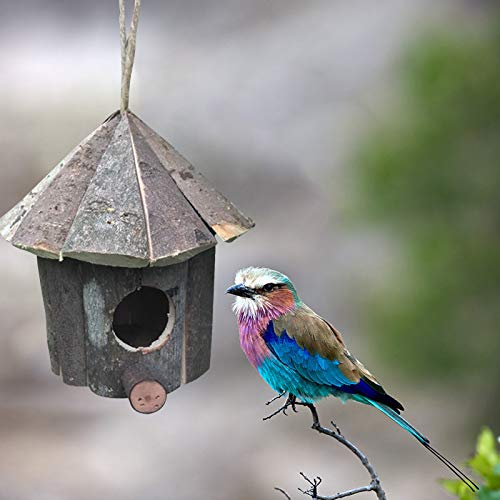 Hileyu Casita para pájaros Casitas para pájaros Casita para pájaros de Madera para decoración de jardín Cajas Nido para pájaros Caja para pájaros para pájaros pequeños Caja Nido Colgante para Amantes