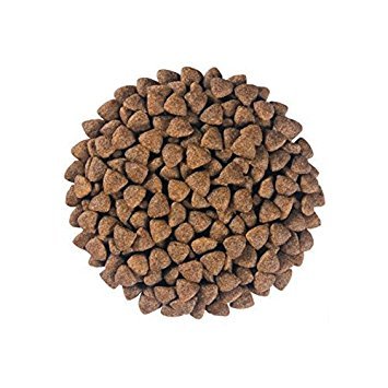 Hill`s Alimento Dietético para Perros con Sabor a Pato D/D - 5 kg