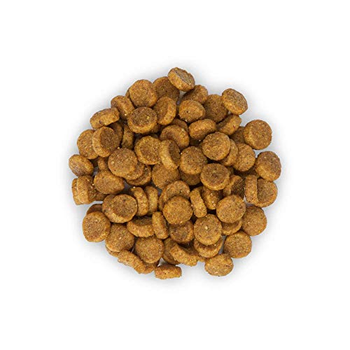 Hills Scie Hsp Feline Adult Sensitive Stomach Skin 1,5Kg 1500 g