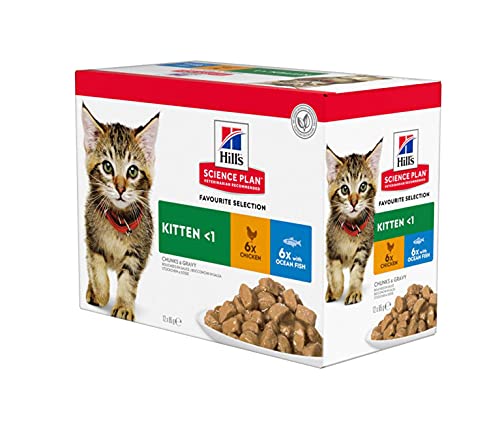 Hills Science Plan Kitten <1 alimento seco de pollo de 300 g y 12 bolsas de 85 g de selección favorita para gatitos con bola de juguete de regalo