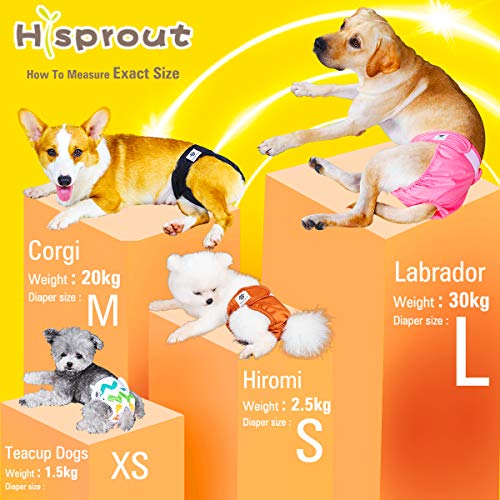 Hisprout Pañal para perro femenino reutilizable lavable durable perrito pañales pantalones (XS, negro)