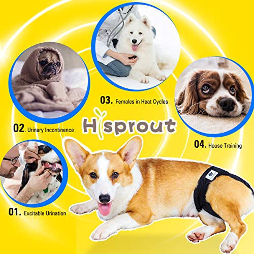 Hisprout Pañal para perro femenino reutilizable lavable durable perrito pañales pantalones (XS, negro)