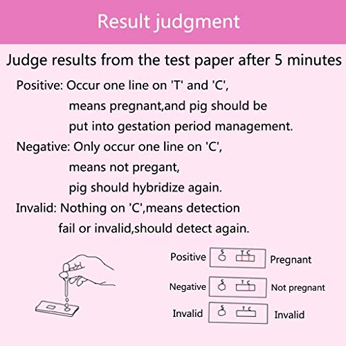 HJJH Pet Kit De Prueba De Embarazo, Prueba De Diagnóstico De Papel De Detección Embarazada Embarazo, Fiable Y Rápida Desde El Embarazo Precoz, Las Pruebas De Embarazo Precoz