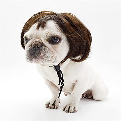 HJLINA Disfraces de Halloween para Perros Ropa Divertida for Disfraces de Gato Peluca de Pelo Cap Tostes for Perros for Pelucas Pequeñas Pelucas Postales Halloween Tocado (Color : Brown)