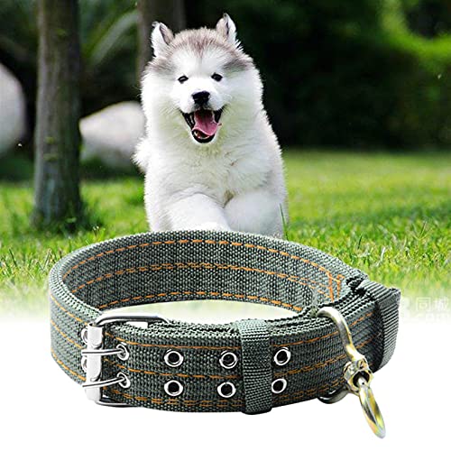 HMGANG Collar Perro Cuello de Perro de Correa de Nylon Ajustable para pequeños Perros Grandes Perrito Accesorios para Mascotas Collar de Cuero para Perros Golden Retriever Husky Cuello (Size : XL)