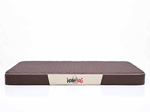 Hobbydog Cama para Perros LMPRBKZ6, sofá para Perros, Cesta para Perros, Tela codura con Piel sintética, L, 100 x 67 x 8 cm, Color marrón