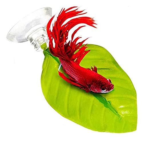 Hoja de Betta, 4 Piezas Cama de Hojas Betta, Camas Betta, Hamaca de Hoja Betta, Camas Betta con Ventosa, Accesorios Ornamentales del Acuario de La Cama de La Hoja Artificial