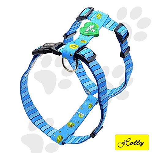 Holly Mascotas | Arnés clásico Premium para Perros Pequeños Medianos y Grandes Ajustable, Elegante, arnés de Perro con Poliéster Ecológico Azul (Blue Kiwi S)