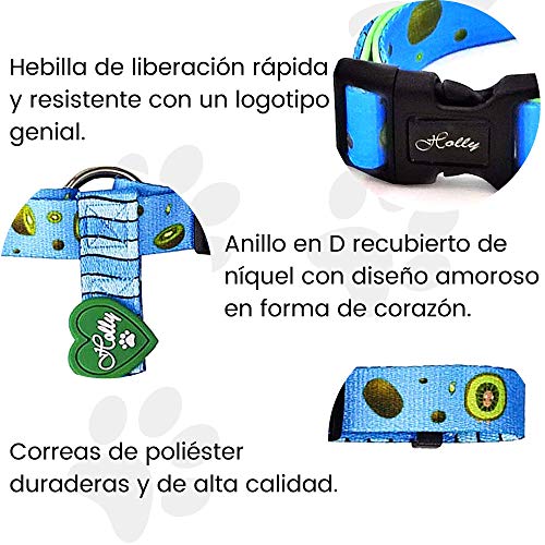 Holly Mascotas | Arnés clásico Premium para Perros Pequeños Medianos y Grandes Ajustable, Elegante, arnés de Perro con Poliéster Ecológico Azul (Blue Kiwi S)